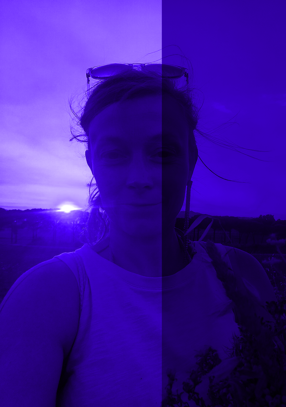 IMG_20240728_200803_violet